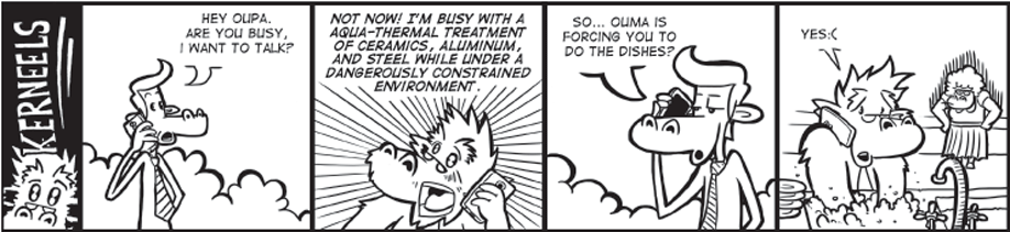 Kerneels Environment