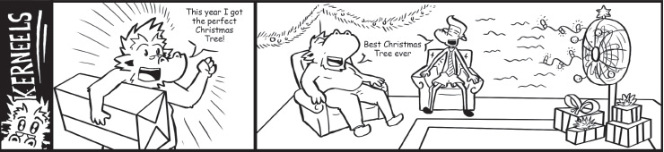 Kerneels Perfect Christmas Tree